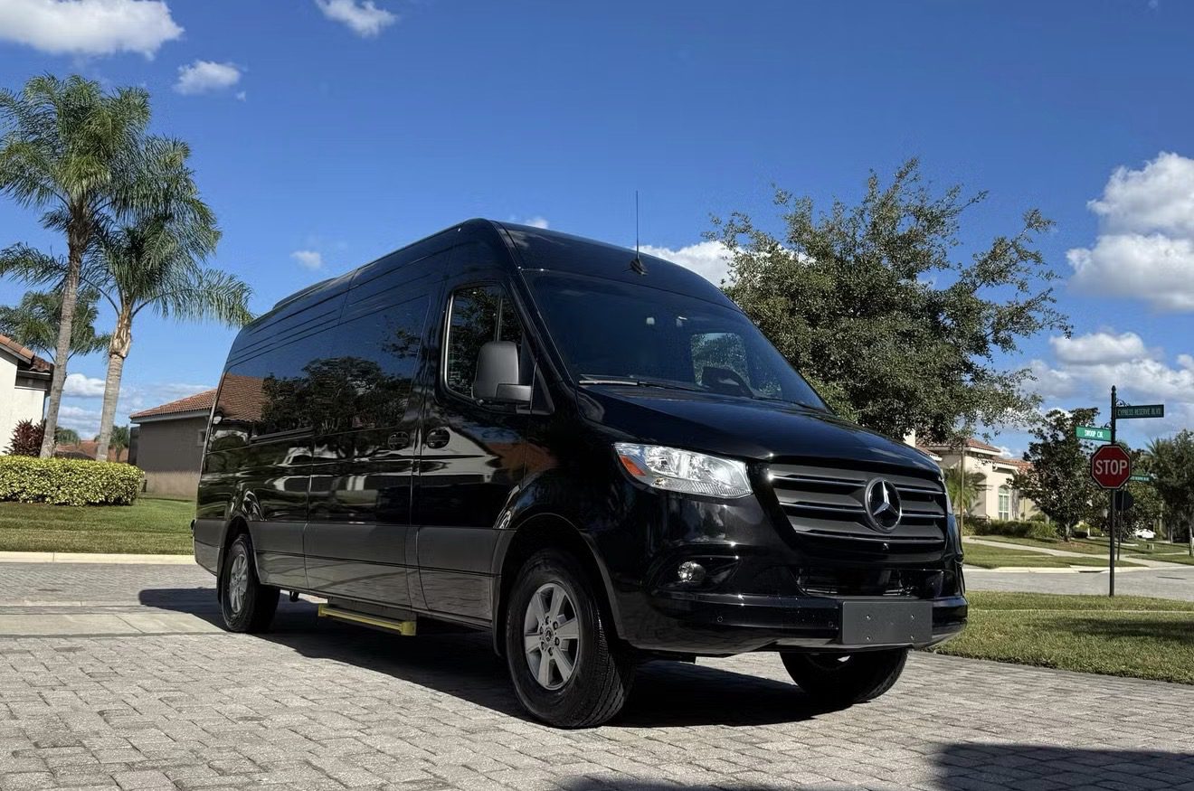 Sleek black Mercedes-Benz van parked on a sunny day with blue sky.