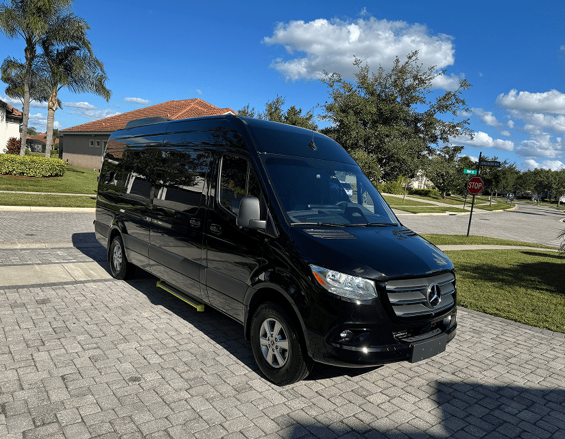 Black van parked on suburban street